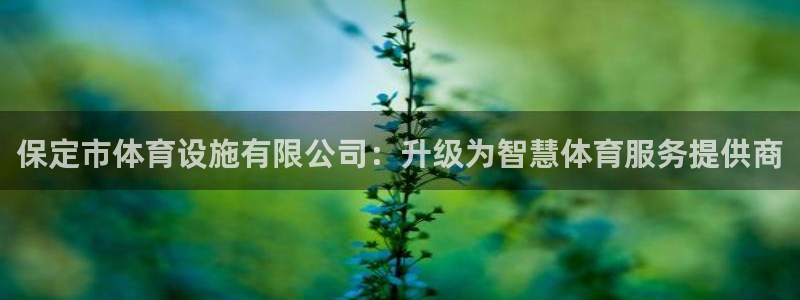意昂体育4平台注册要钱吗安全吗：保定市体育设施有限公