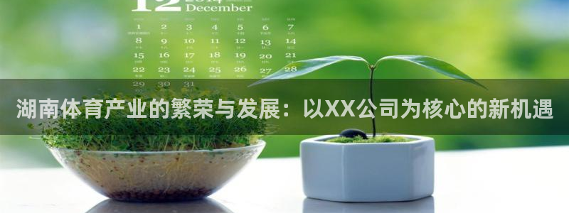 意昂体育4招商电话号码查询：湖南体育产业的繁荣与发展