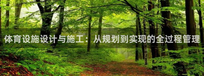 意昂体育4软件：体育设施设计与施工：从规划到实现的全
