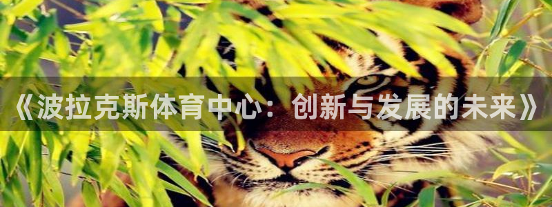 意昂体育4招商：《波拉克斯体育中心：创新与发展的未来》