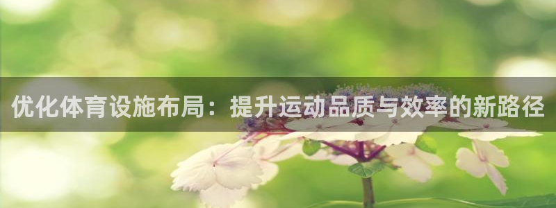 意昂4娱乐首页官网下载：优化体育设施布局：提升运动品质与效率