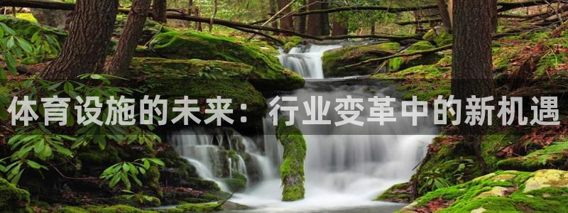 意昂4娱乐首页网站大全：体育设施的未来：行业变革中的新机遇