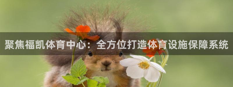 意昂4娱乐平台：聚焦福凯体育中心：全方位打造体育设施保障系统 