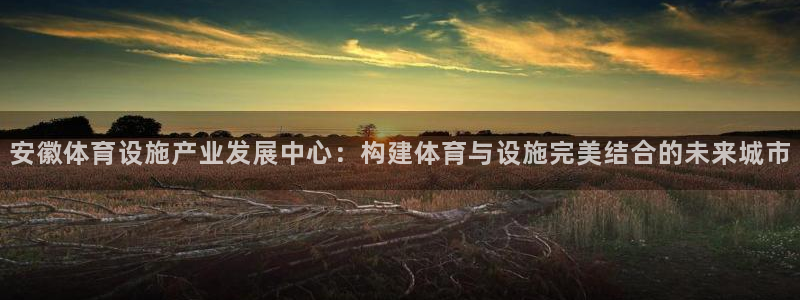 意昂4集团E.ON：安徽体育设施产业发展中心：构建体育与设施