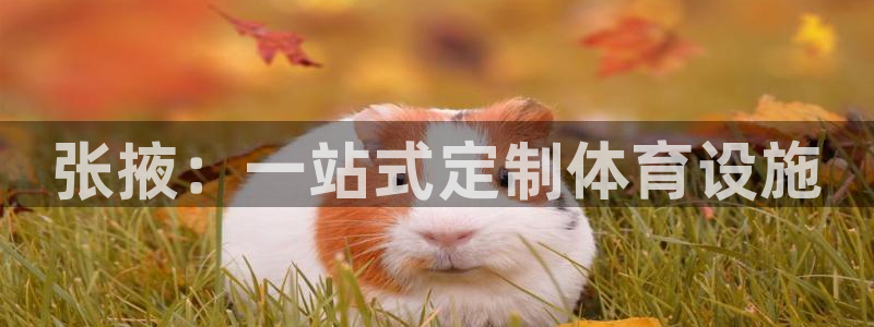 意昂体育4平台注册：张掖：一站式定制体育设施