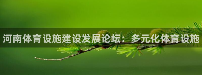 意昂4集团简介：河南体育设施建设发展论坛：多元化体育