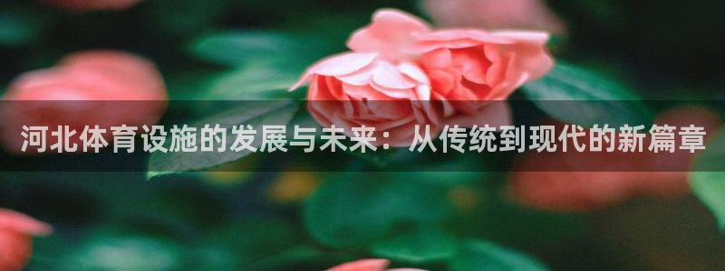 意昂体育4平台是正规平台吗安全吗：河北体育设施的发展