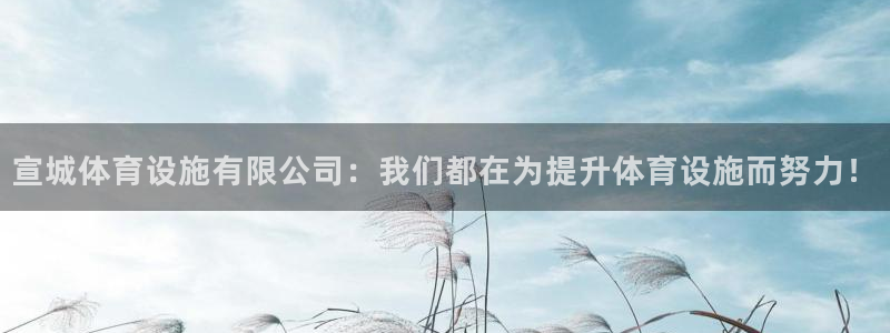 意昂体育4联系电话：宣城体育设施有限公司：我们都在为