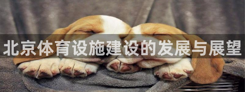 意昂体育4平台注册流程图：北京体育设施建设的发展与展望