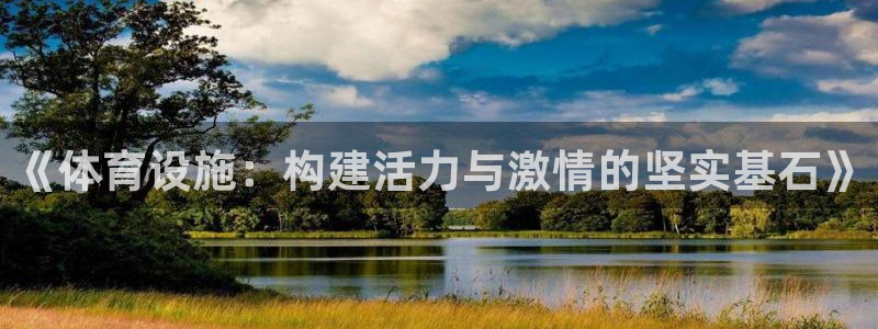 意昂体育4：《体育设施：构建活力与激情的坚实基石》
