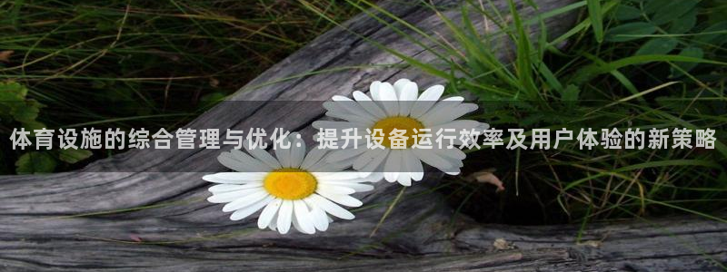 意昂体育4招商电话号码：体育设施的综合管理与优化：提升设备运 