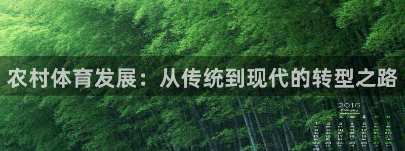 意昂体育4招商电话是多少啊：农村体育发展：从传统到现代的转型