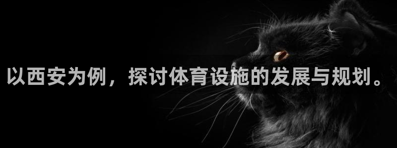 意昂4开户：以西安为例，探讨体育设施的发展与规划。