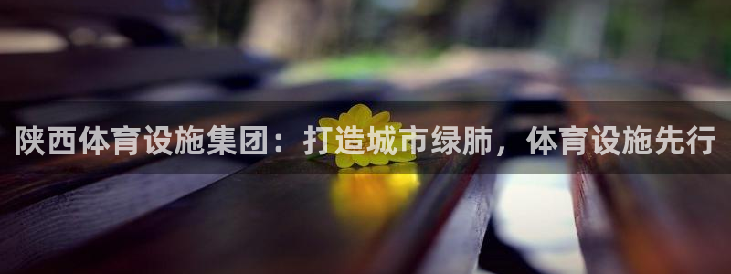 意昂体育4开户：陕西体育设施集团：打造城市绿肺，体育