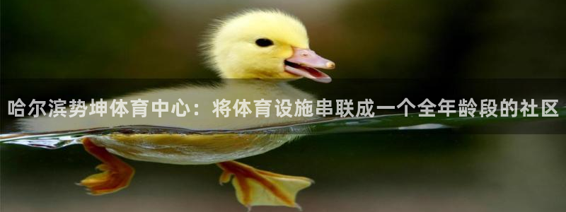 意昂4娱乐下载：哈尔滨势坤体育中心：将体育设施串联成