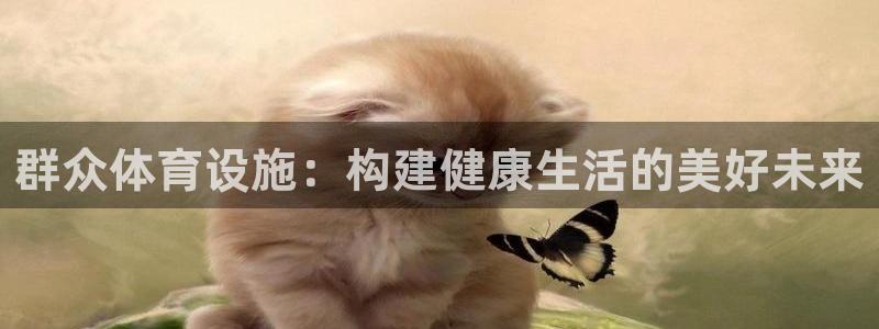 意昂体育4平台是正规平台吗安全吗：群众体育设施：构建健康生活