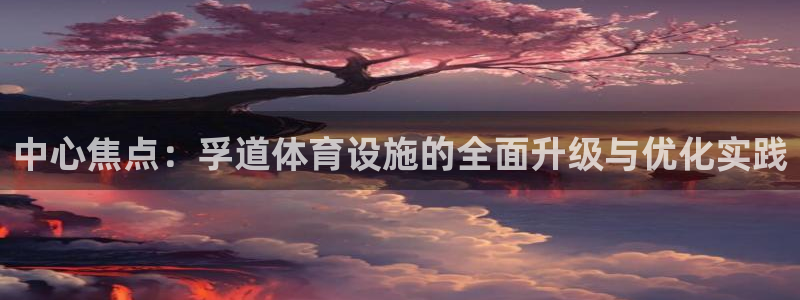 意昂体育4招商电话是多少号码：中心焦点：孚道体育设施
