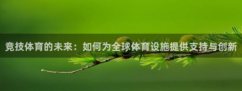 意昂体育4：竞技体育的未来：如何为全球体育设施提供支持与创新