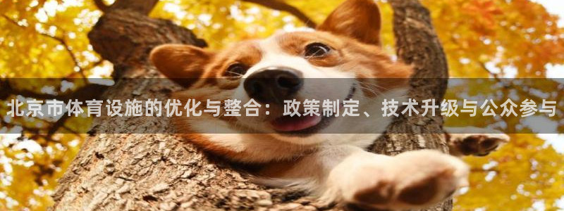 意昂4官方：北京市体育设施的优化与整合：政策制定、技术升级与