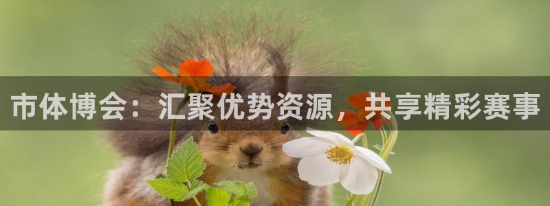 意昂平台体育：市体博会：汇聚优势资源，共享精彩赛事