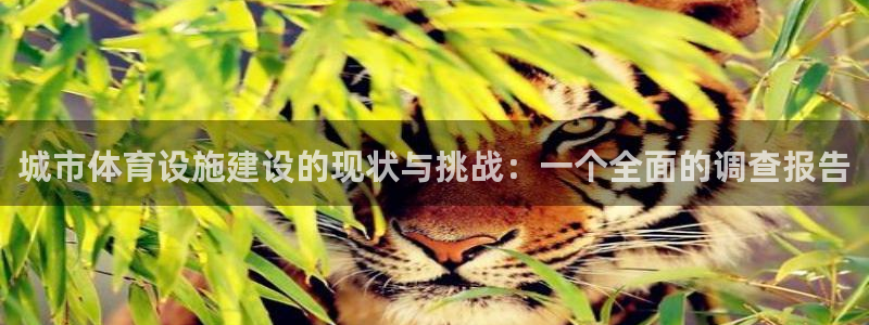 意昂体育4平台假的吗是真的吗：城市体育设施建设的现状与挑战：