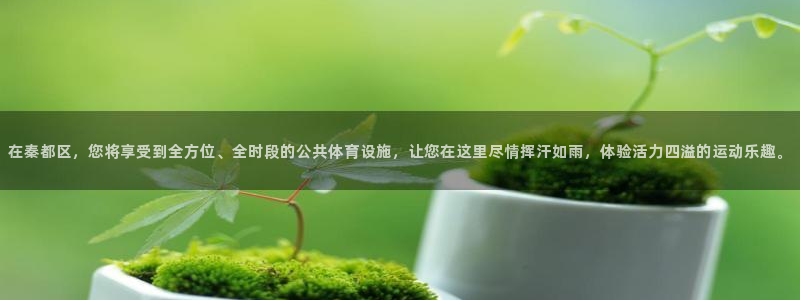 意昂4新能源：在秦都区，您将享受到全方位、全时段的公共体育设 