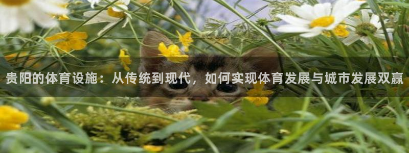 意昂体育4平台注册要钱吗安全吗：贵阳的体育设施：从传