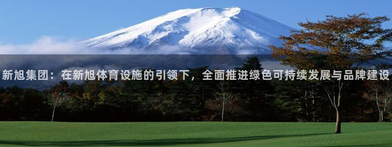 意昂4集团logo：新旭集团：在新旭体育设施的引领下