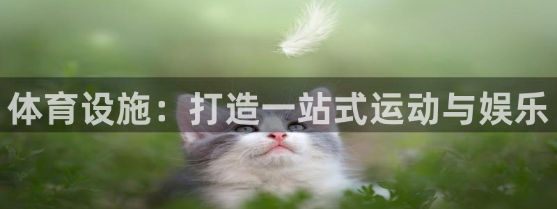 意昂体育4平台：体育设施：打造一站式运动与娱乐 