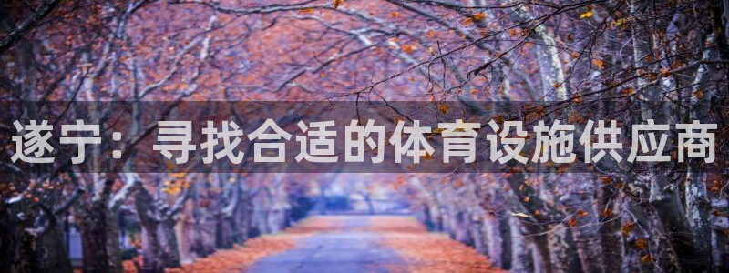 意昂体育4娱乐：遂宁：寻找合适的体育设施供应商
