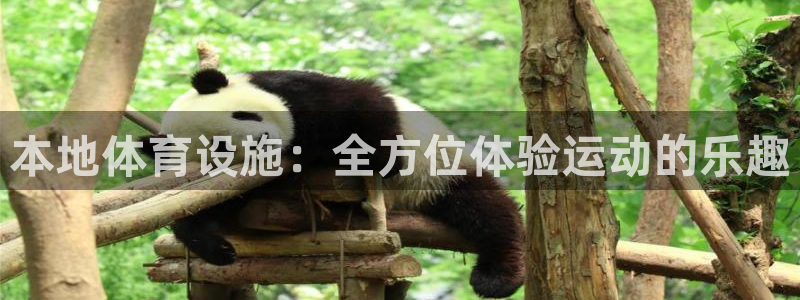 意昂4娱乐下载：本地体育设施：全方位体验运动的乐趣 