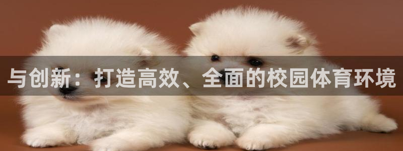 意昂4娱乐首页官网下载：与创新：打造高效、全面的校园