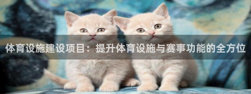 意昂4集团logo：体育设施建设项目：提升体育设施与