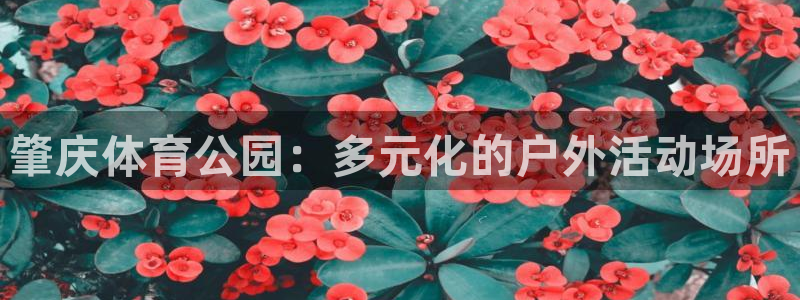 意昂4官网：肇庆体育公园：多元化的户外活动场所