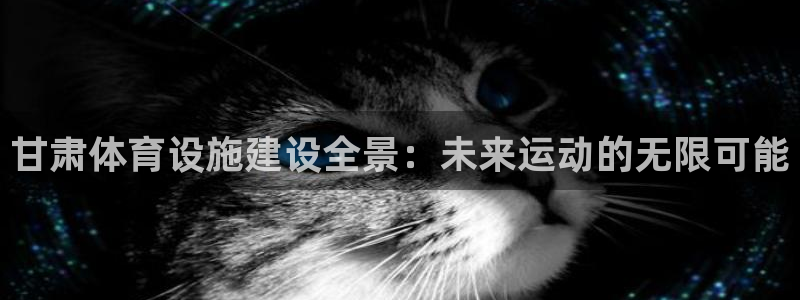 意昂体育4平台注册流程图：甘肃体育设施建设全景：未来