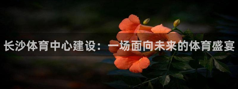 意昂4集团：长沙体育中心建设：一场面向未来的体育盛宴
