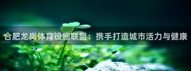 意昂体育4注册：合肥龙岗体育设施联盟：携手打造城市活