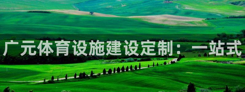意昂4科技：广元体育设施建设定制：一站式