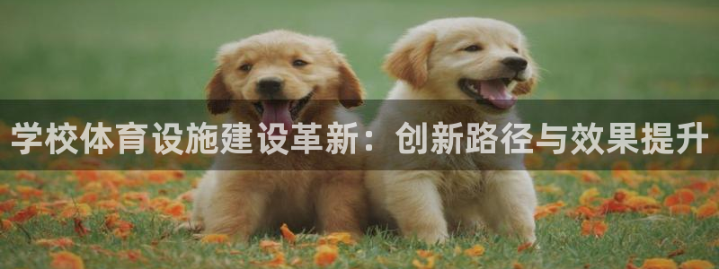 意昂体育4招商电话是多少号码：学校体育设施建设革新：