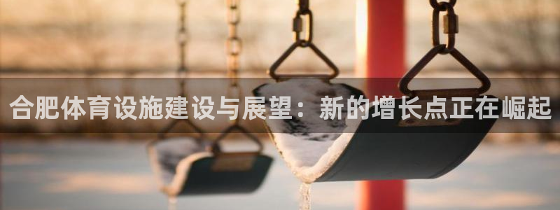 意昂体育4平台注册要钱吗安全吗：合肥体育设施建设与展