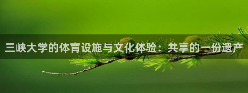 意昂体育4招商电话是多少啊：三峡大学的体育设施与文化