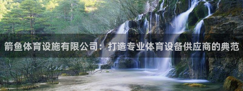 意昂体育4平台注册：箭鱼体育设施有限公司：打造专业体